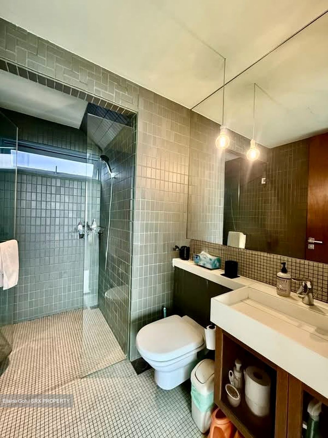 The Trizon (D10), Condominium #627345141